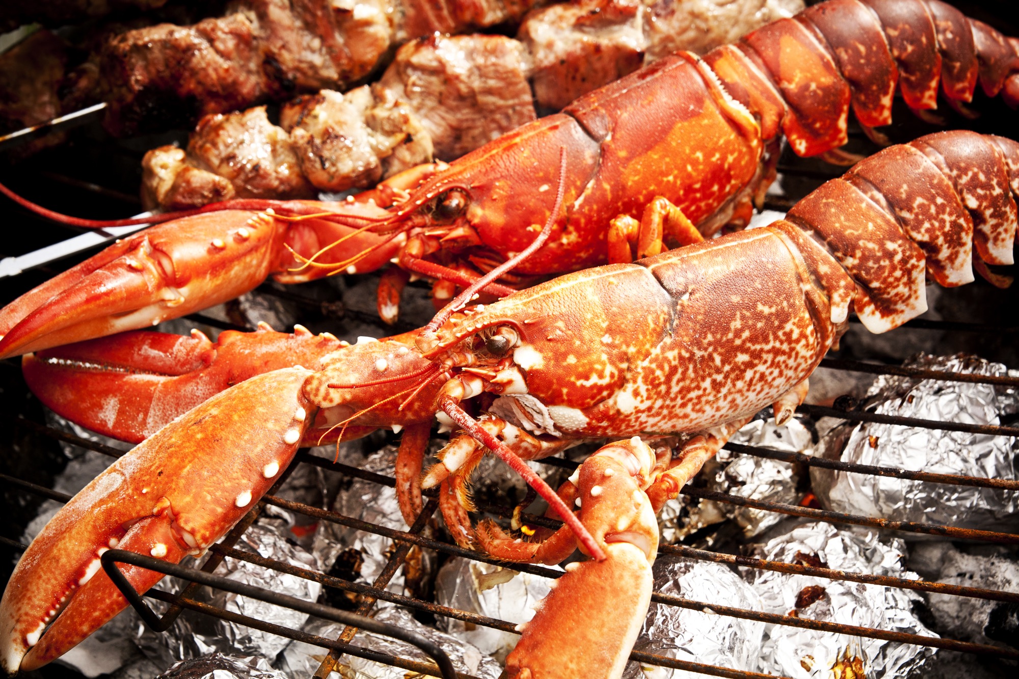 Lobster Season Starts