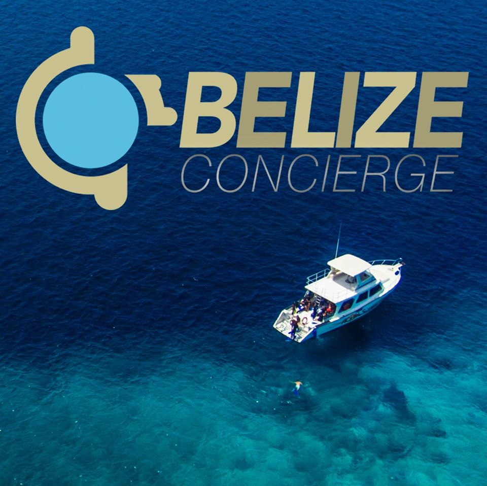 Belize Concierge Excellent Professional Licenses