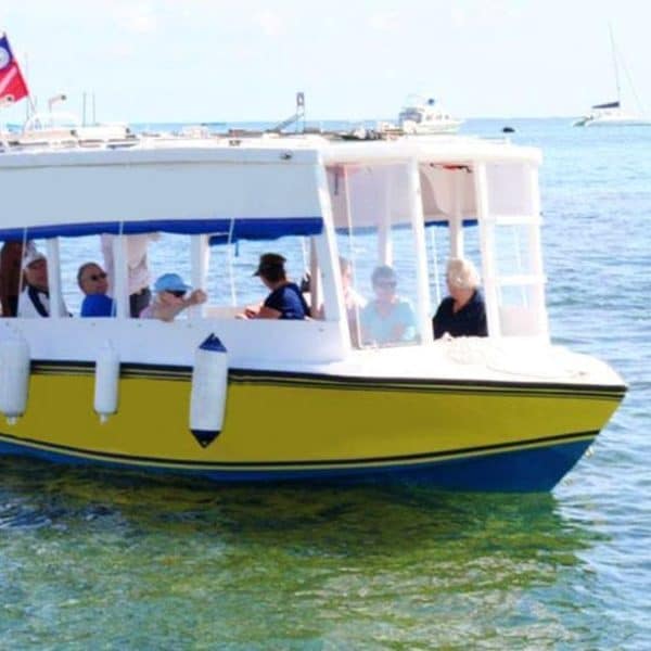 glass bottom boat tour belize