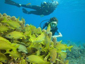 great blue hole tour from belize city