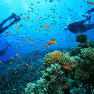 great blue hole tour from belize city